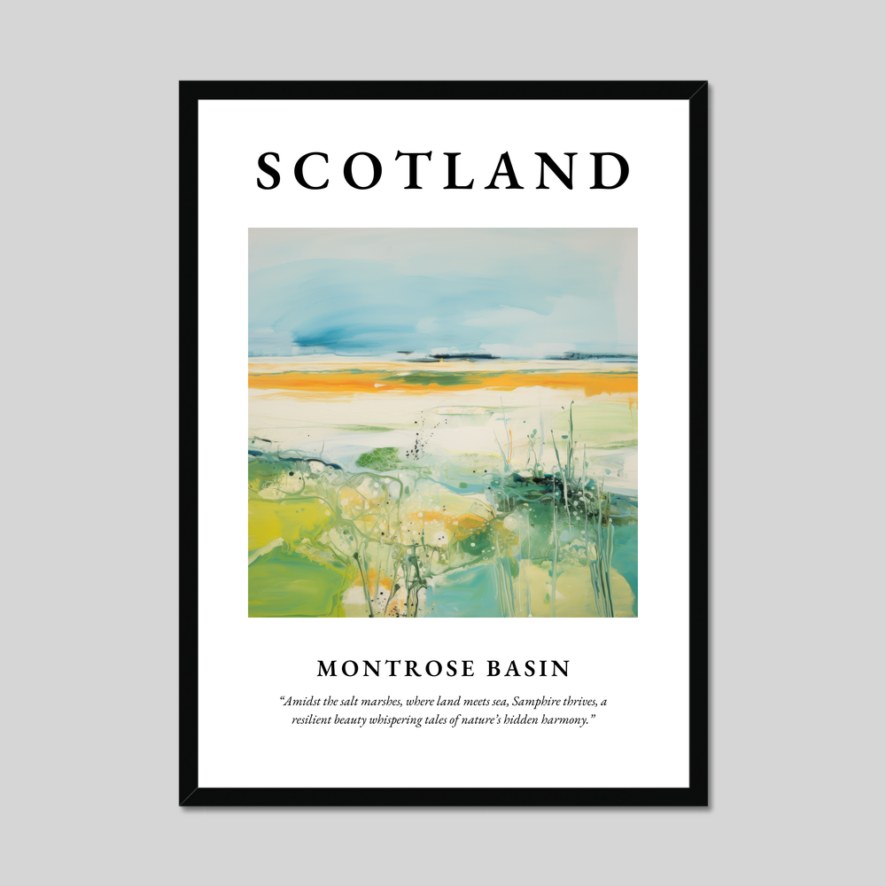 Poster of Montrose Basin, Scotland.