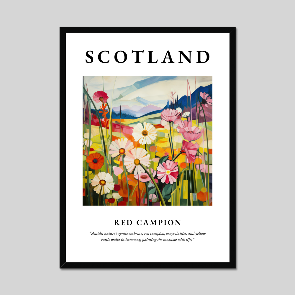 Poster of Red campion, Scotland.