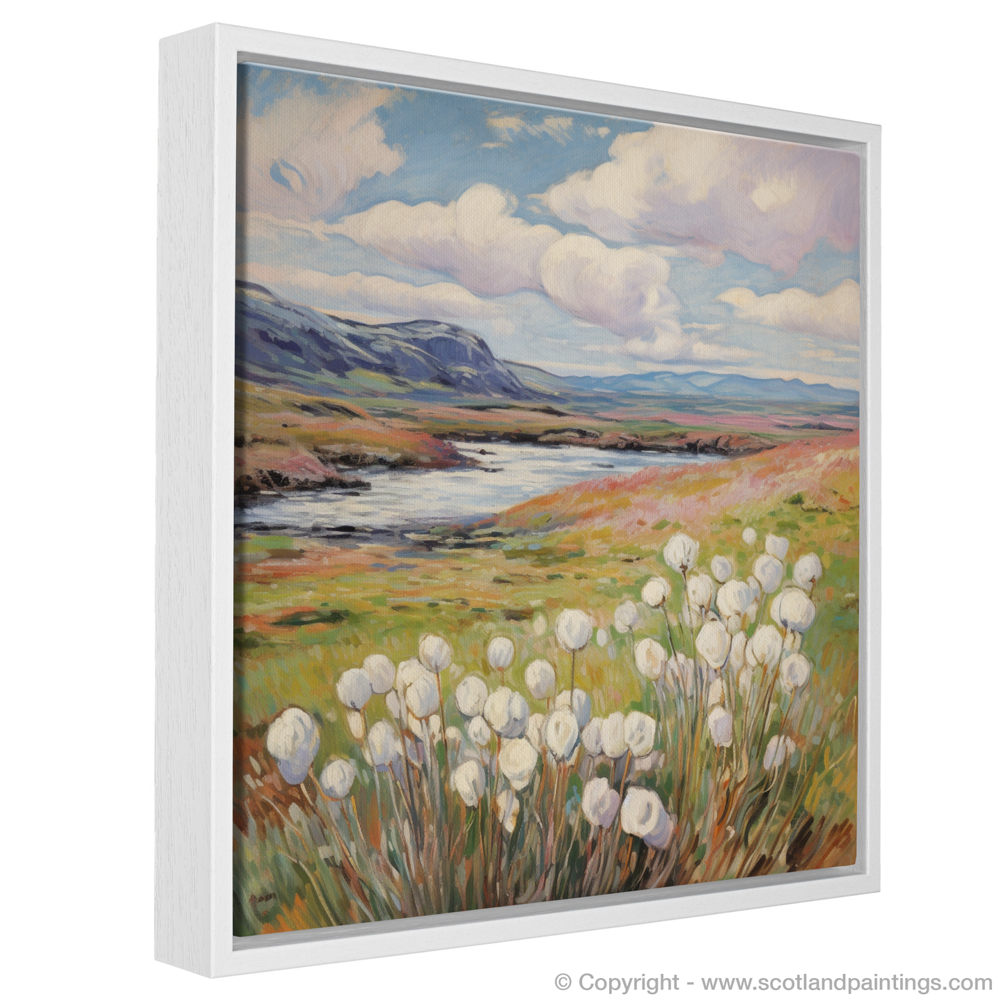 Whispers of Skye: Cotton Grass Serenade in the Upland Bogs