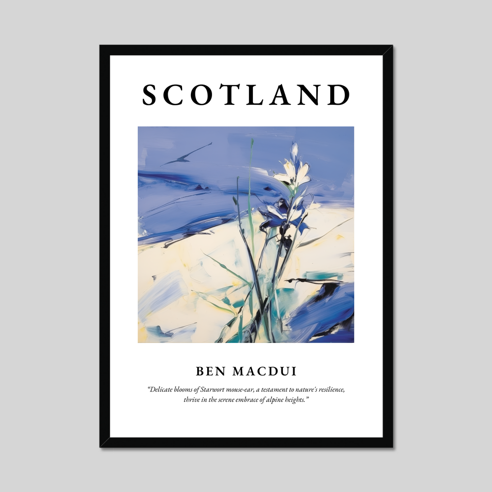 Poster of Ben Macdui, Scotland.