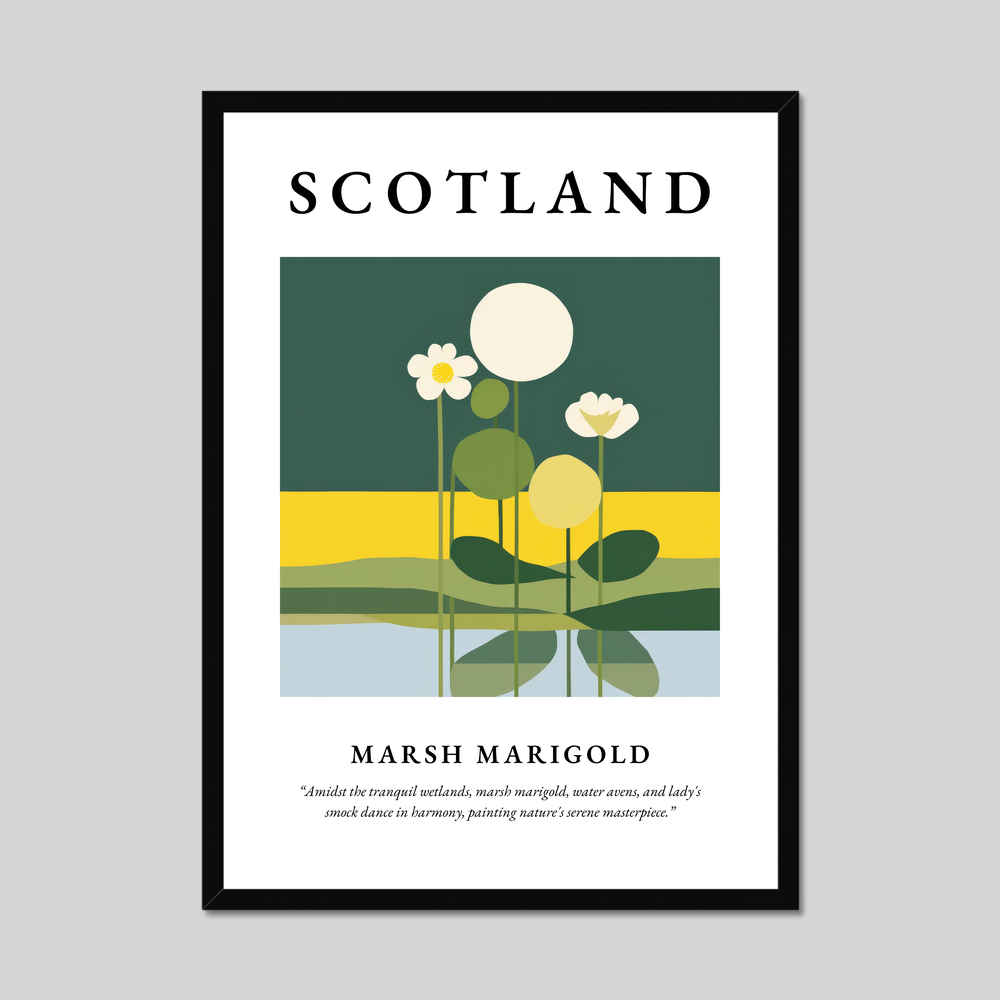 Poster of Marsh marigold, Scotland.