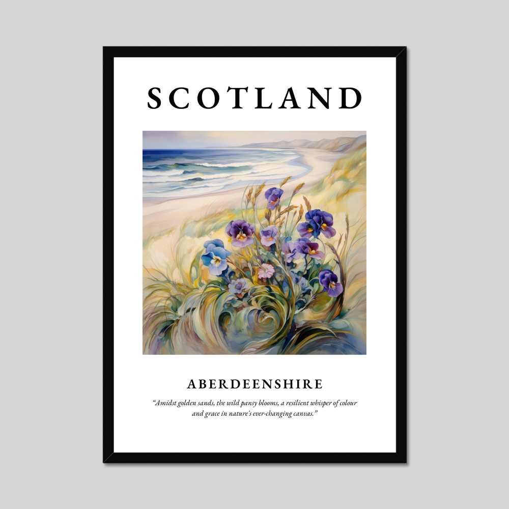 Poster of Aberdeenshire, Scotland.