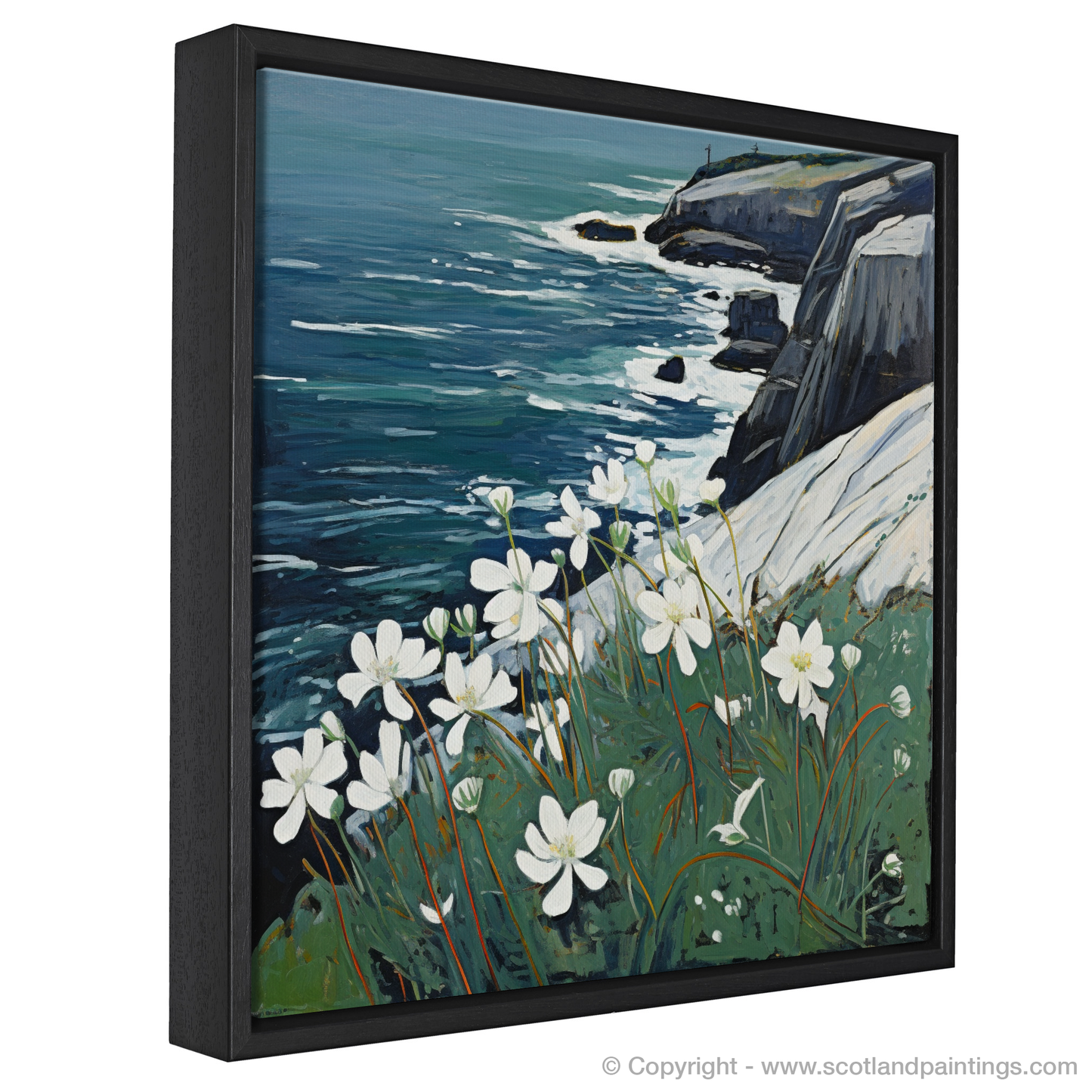 Naive Art Charm: Sea Campion on Cape Wrath Cliffs