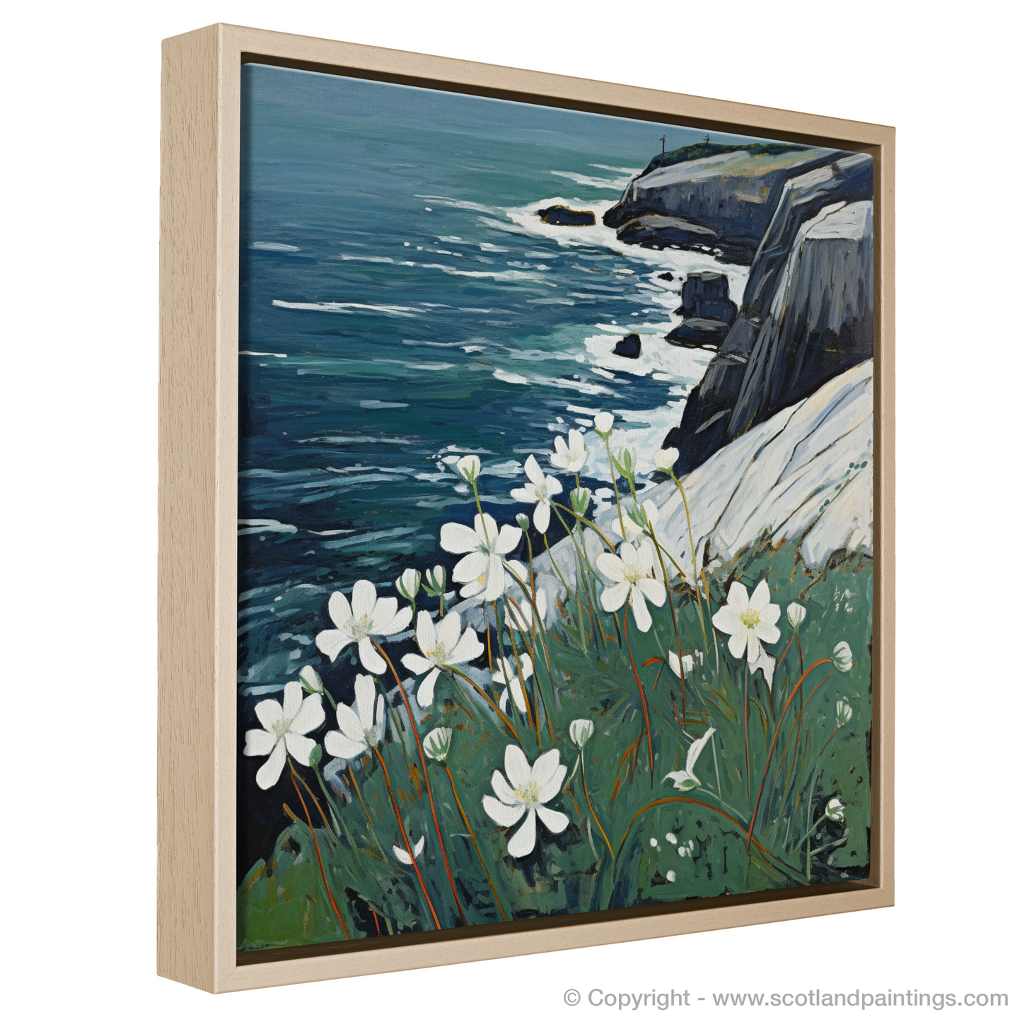 Naive Art Charm: Sea Campion on Cape Wrath Cliffs