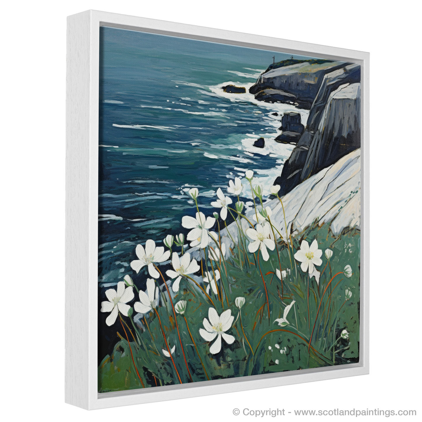 Naive Art Charm: Sea Campion on Cape Wrath Cliffs