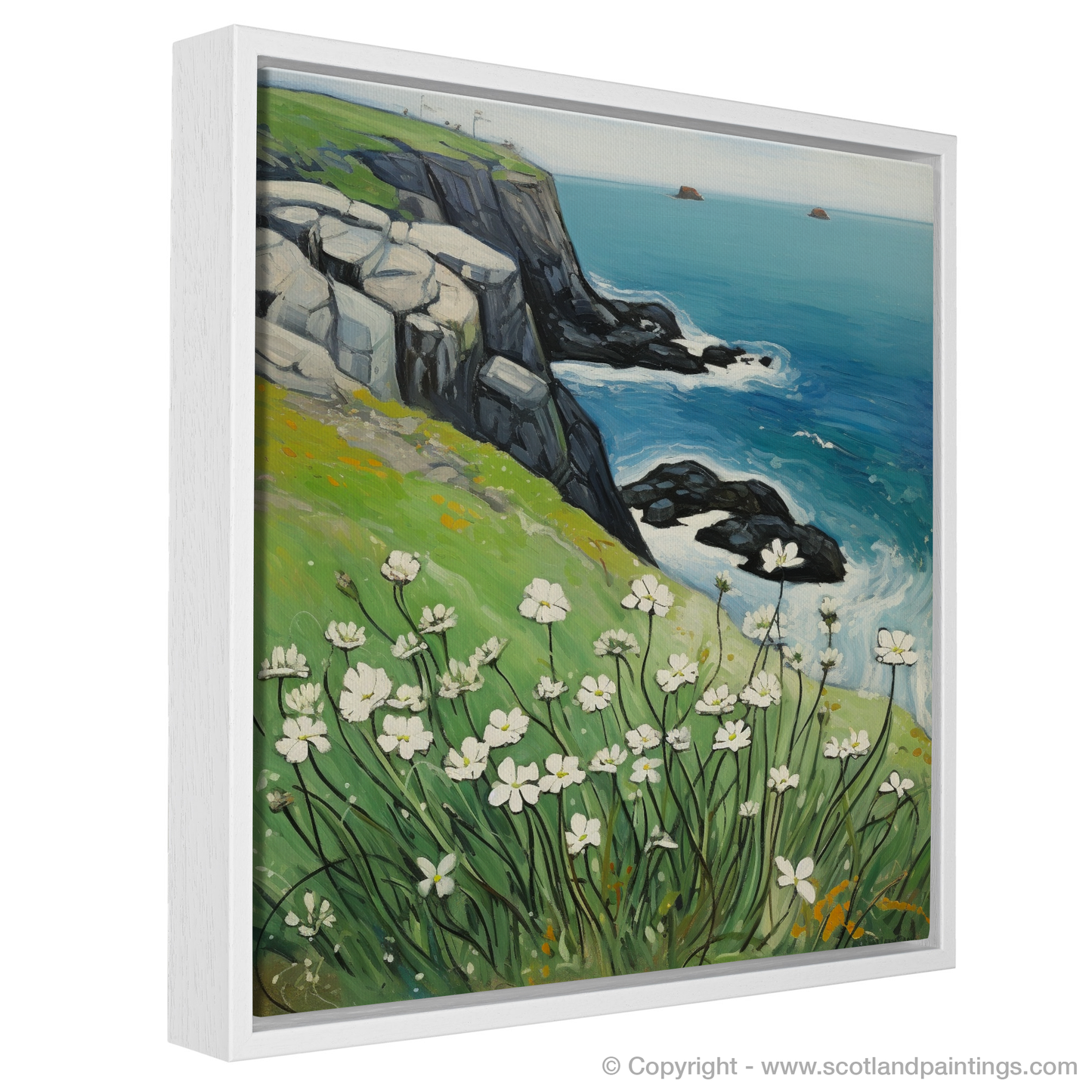 Sea Campion on the Cliffs of Cape Wrath: A Naive Art Homage to Scottish Coastal Splendor