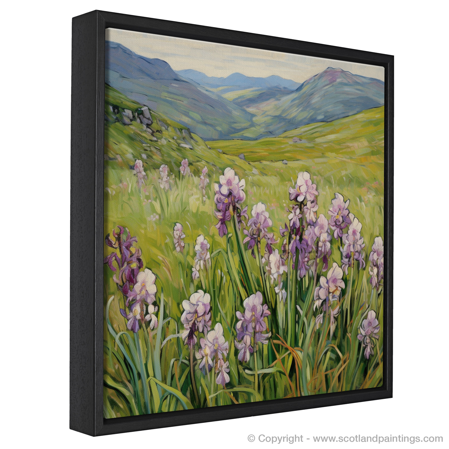 Moorland Spotted Orchid in The Mamores: An Art Nouveau Tribute