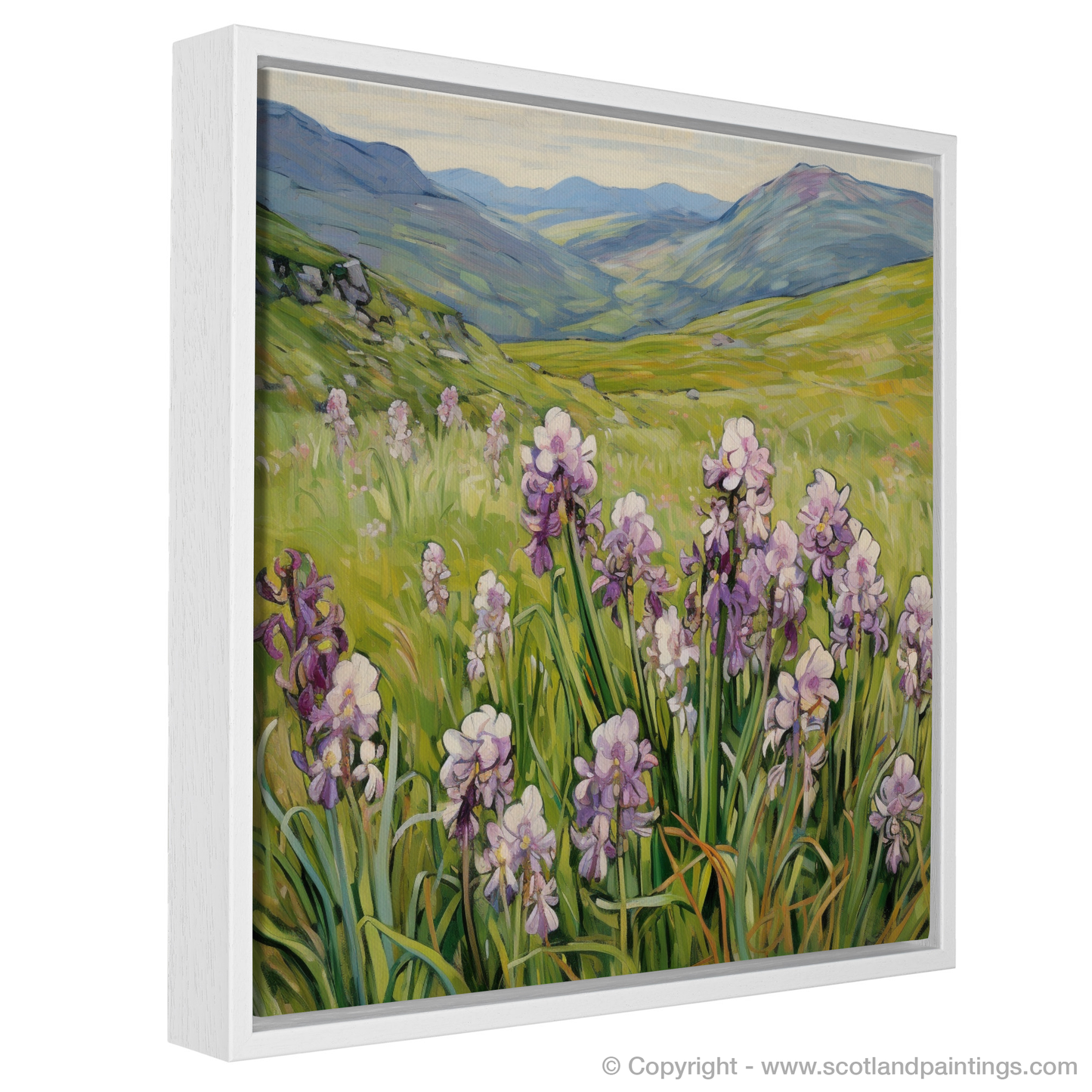 Moorland Spotted Orchid in The Mamores: An Art Nouveau Tribute