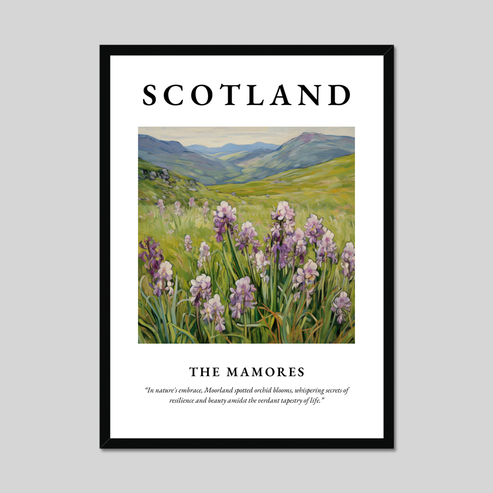 Poster of The Mamores, Scotland.