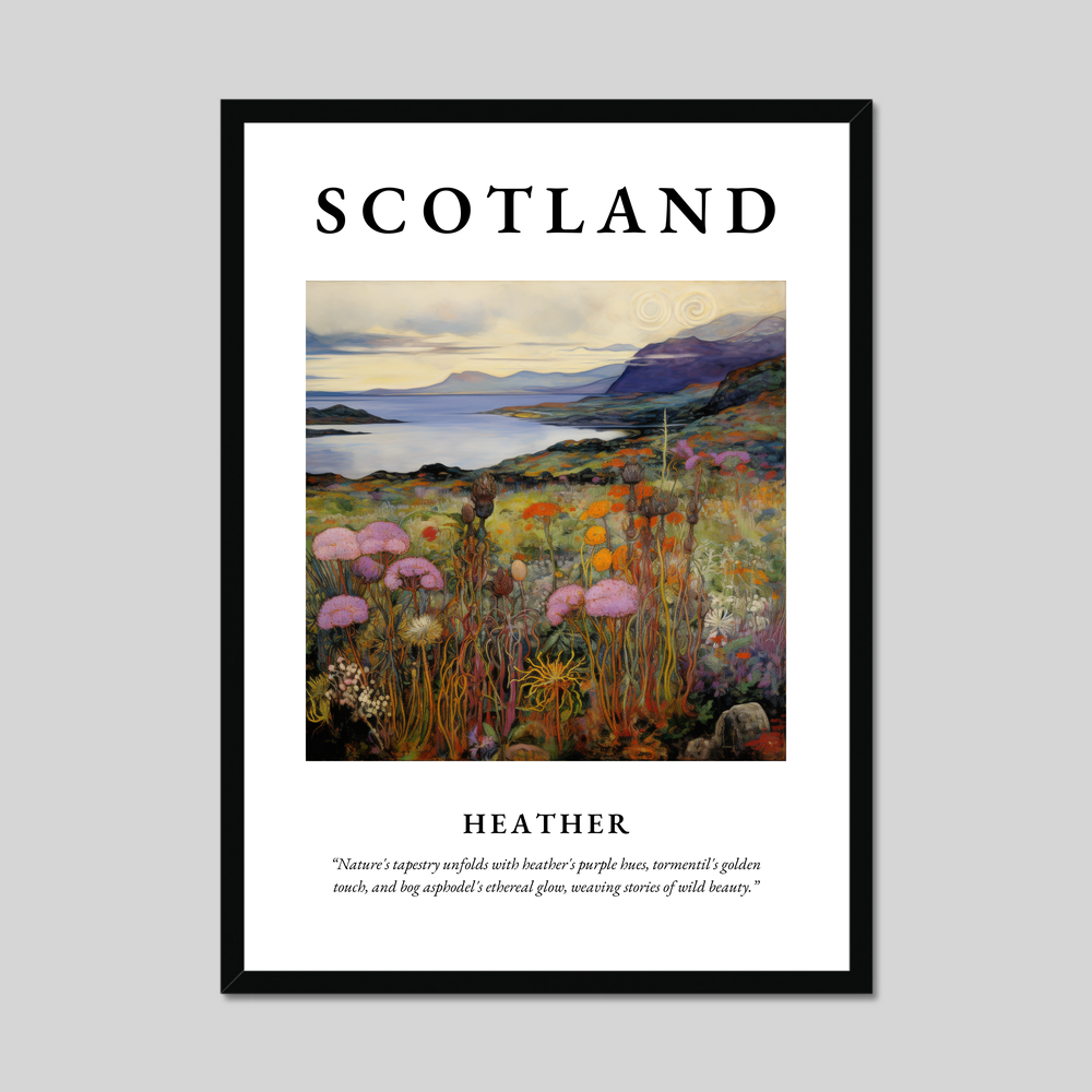 Poster of Heather, Scotland.