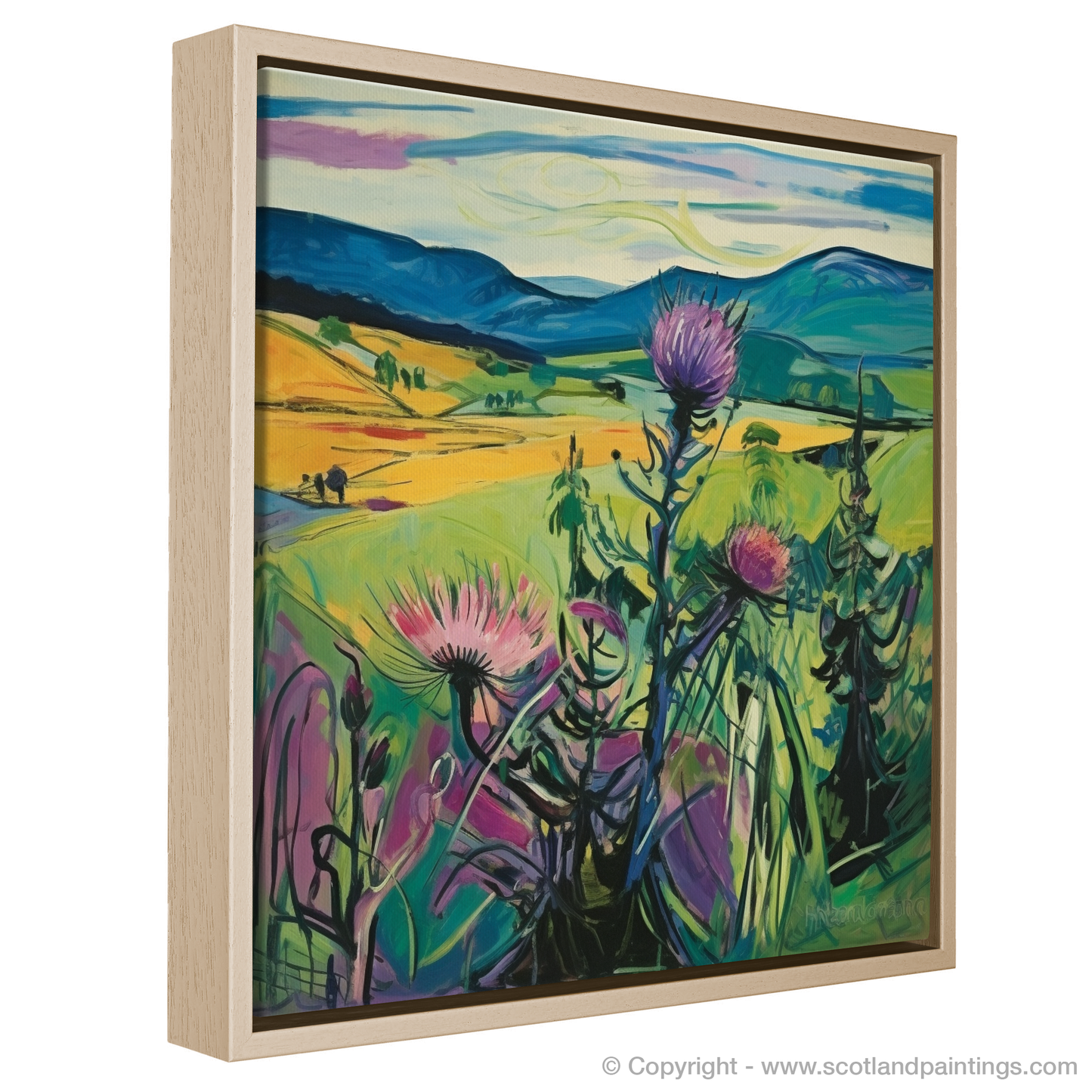 Melancholy Thistle in the Wilds of Inverness-shire: A Fauvist Ode to Scottish Flora