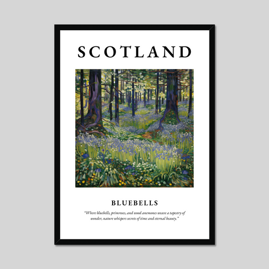 Poster of Bluebells, Scotland.