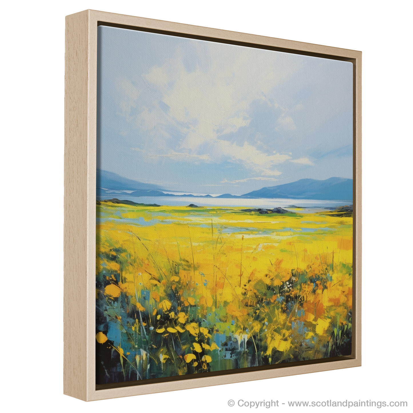 Machair Meadow: A Symphony of Colour in the Outer Hebrides