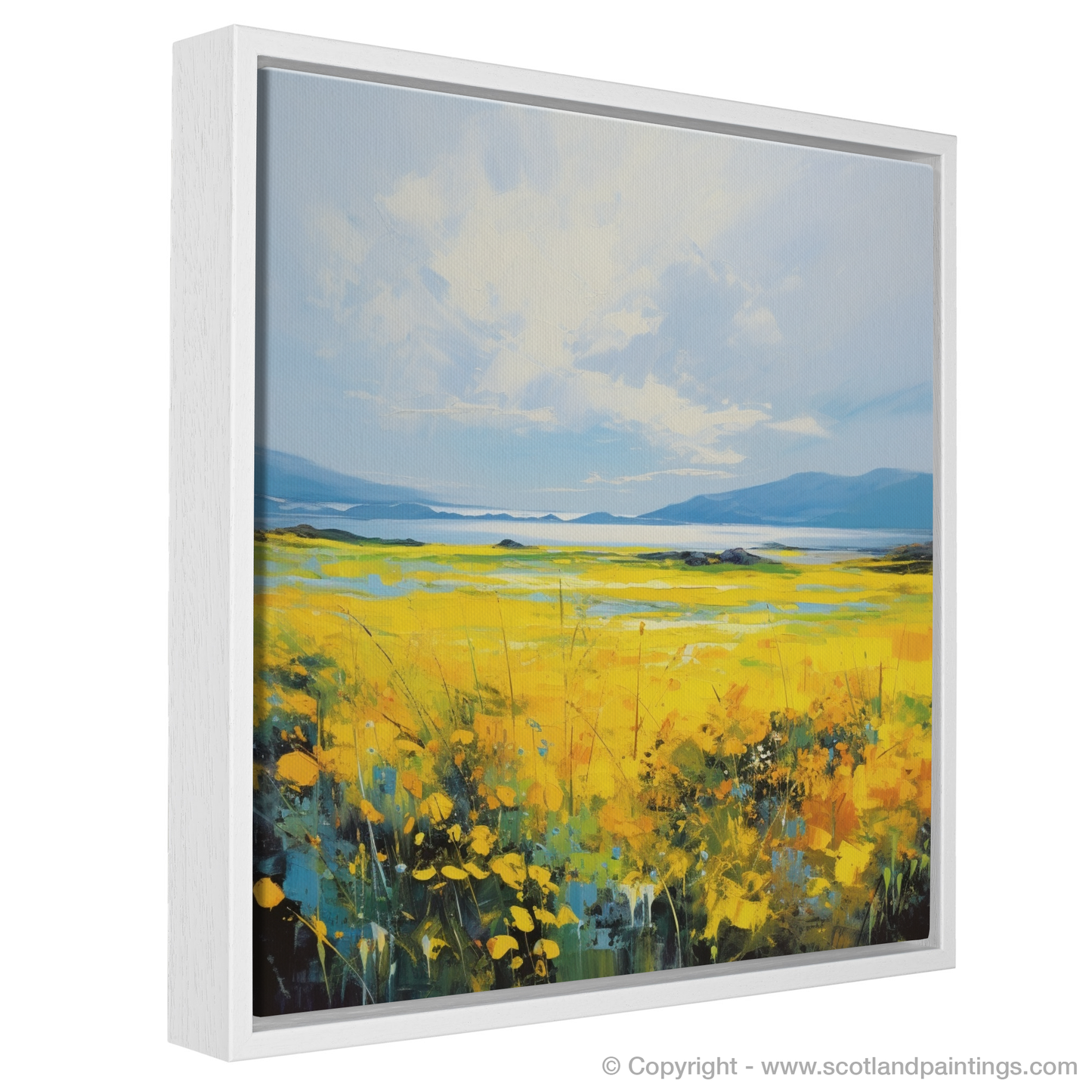 Machair Meadow: A Symphony of Colour in the Outer Hebrides