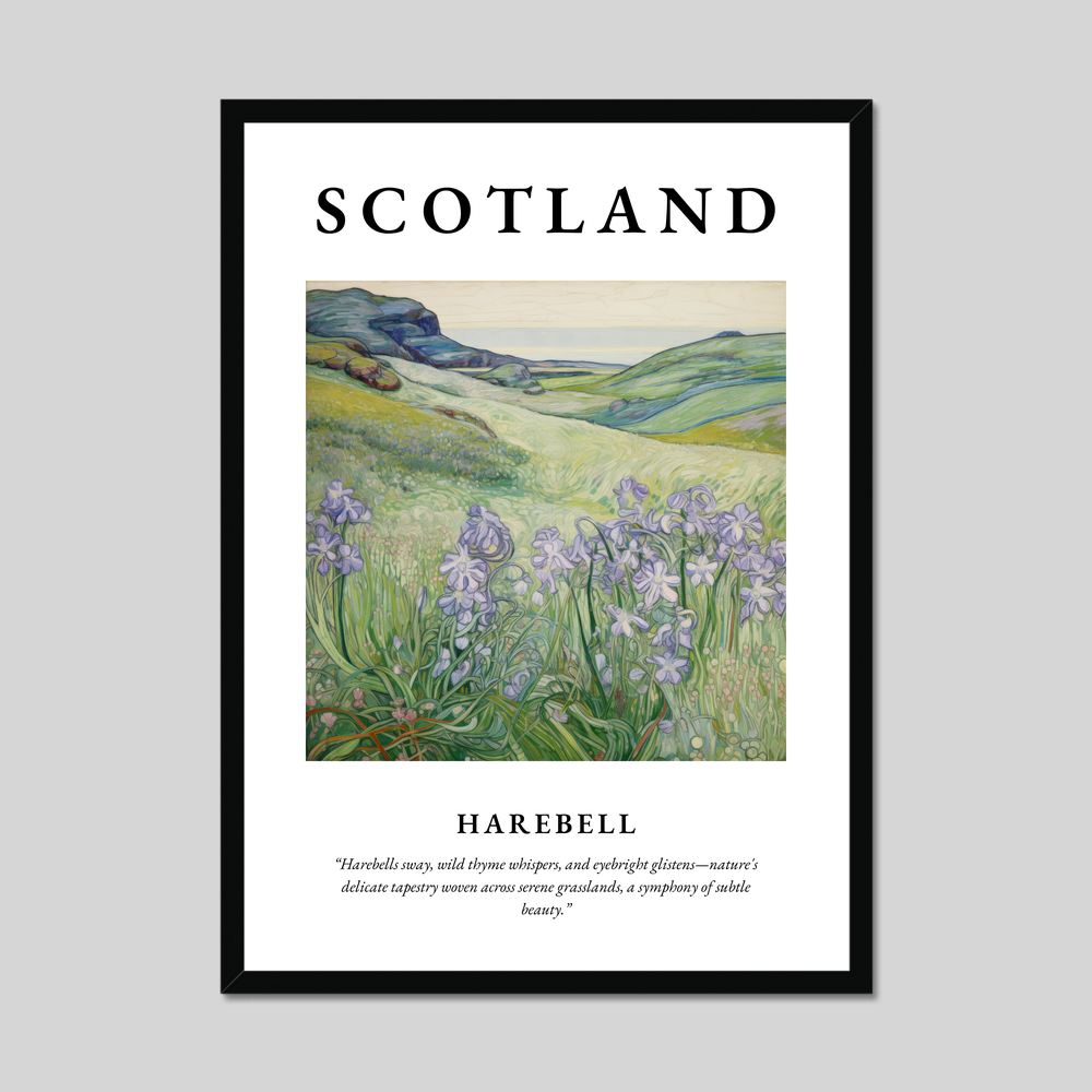 Poster of Harebell, Scotland.