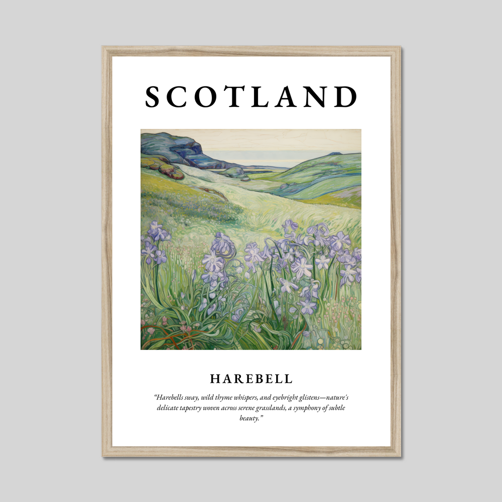 Poster in a natural frame with the word Scotland