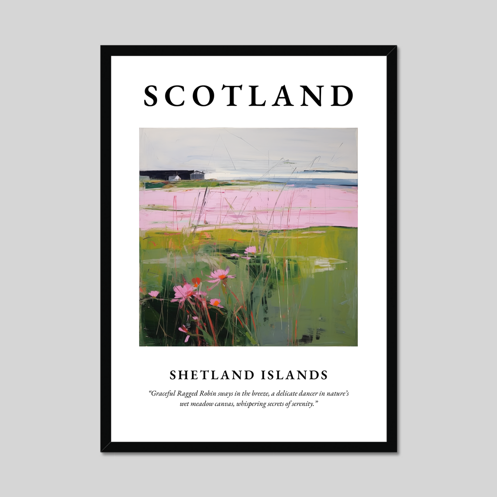 Poster of Shetland Islands, Scotland.