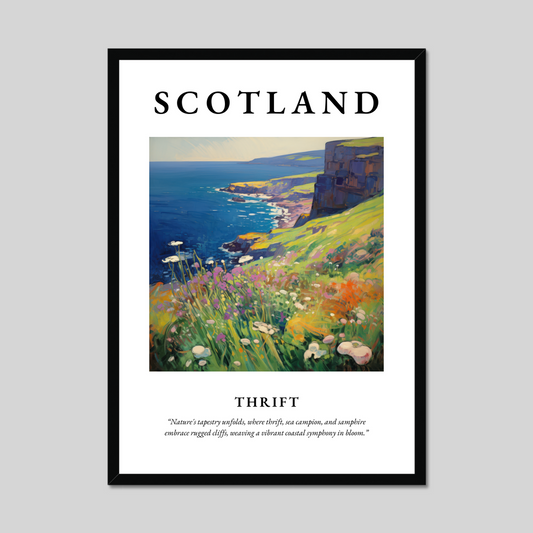 Poster of Thrift, Scotland.