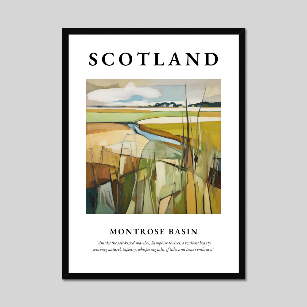 Poster of Montrose Basin, Scotland.