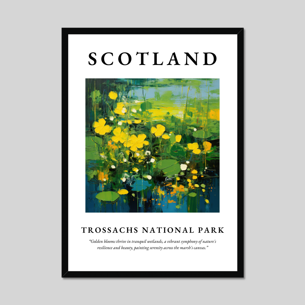 Poster of Trossachs National Park, Scotland.