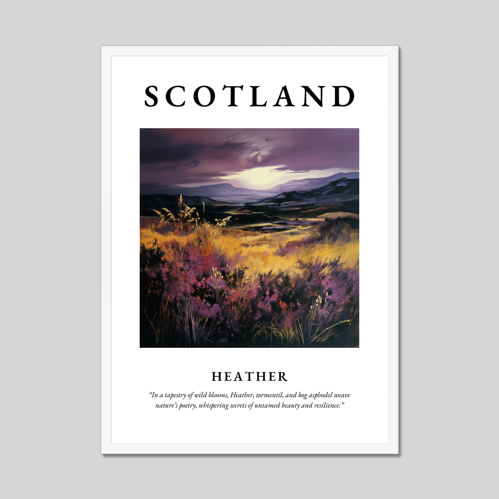 Poster in a white frame with the word Scotland