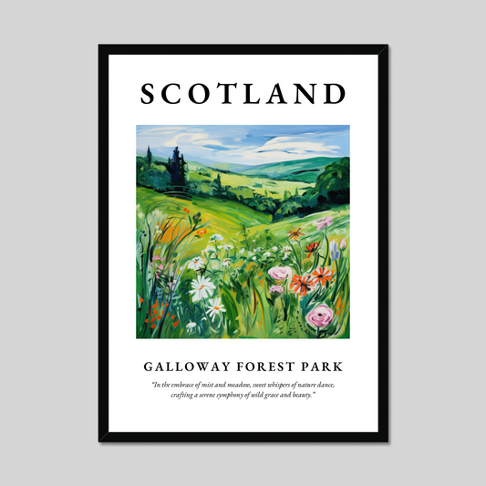 Poster of Galloway Forest Park, Scotland.