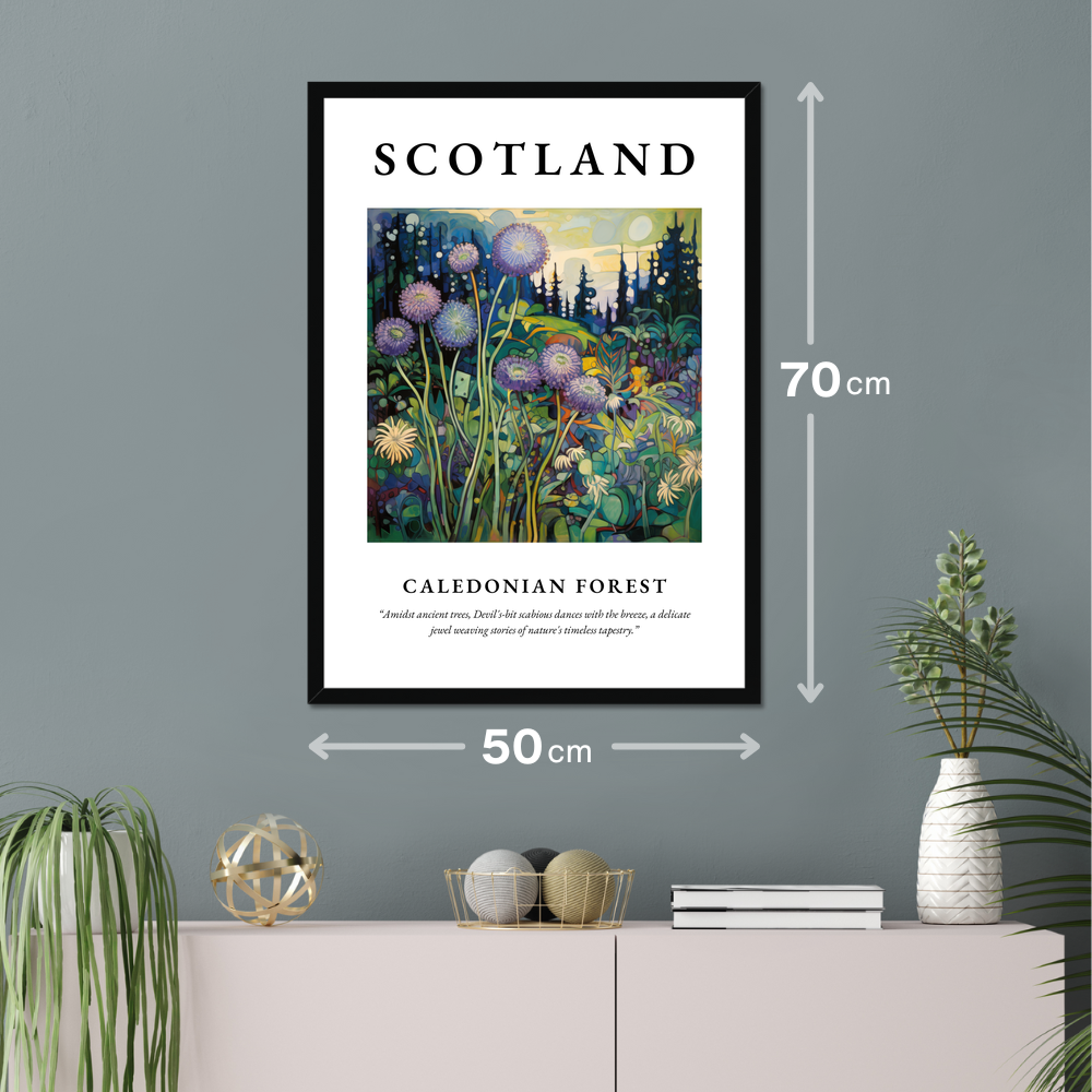 Poster of Caledonian Forest hanging on a wall