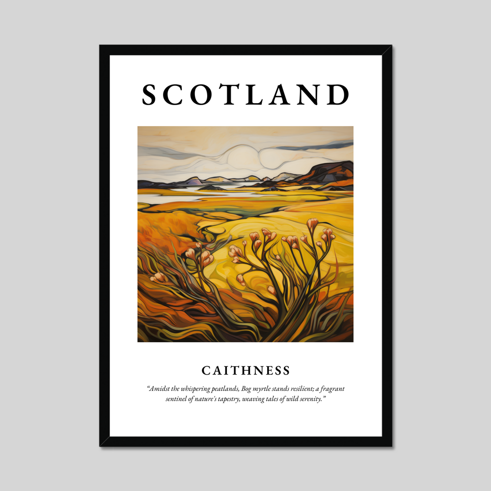 Poster of Caithness, Scotland.