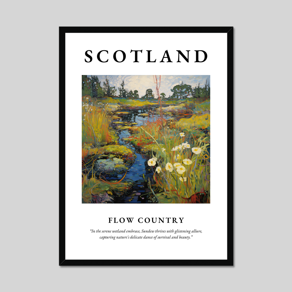 Poster of Flow Country, Scotland.