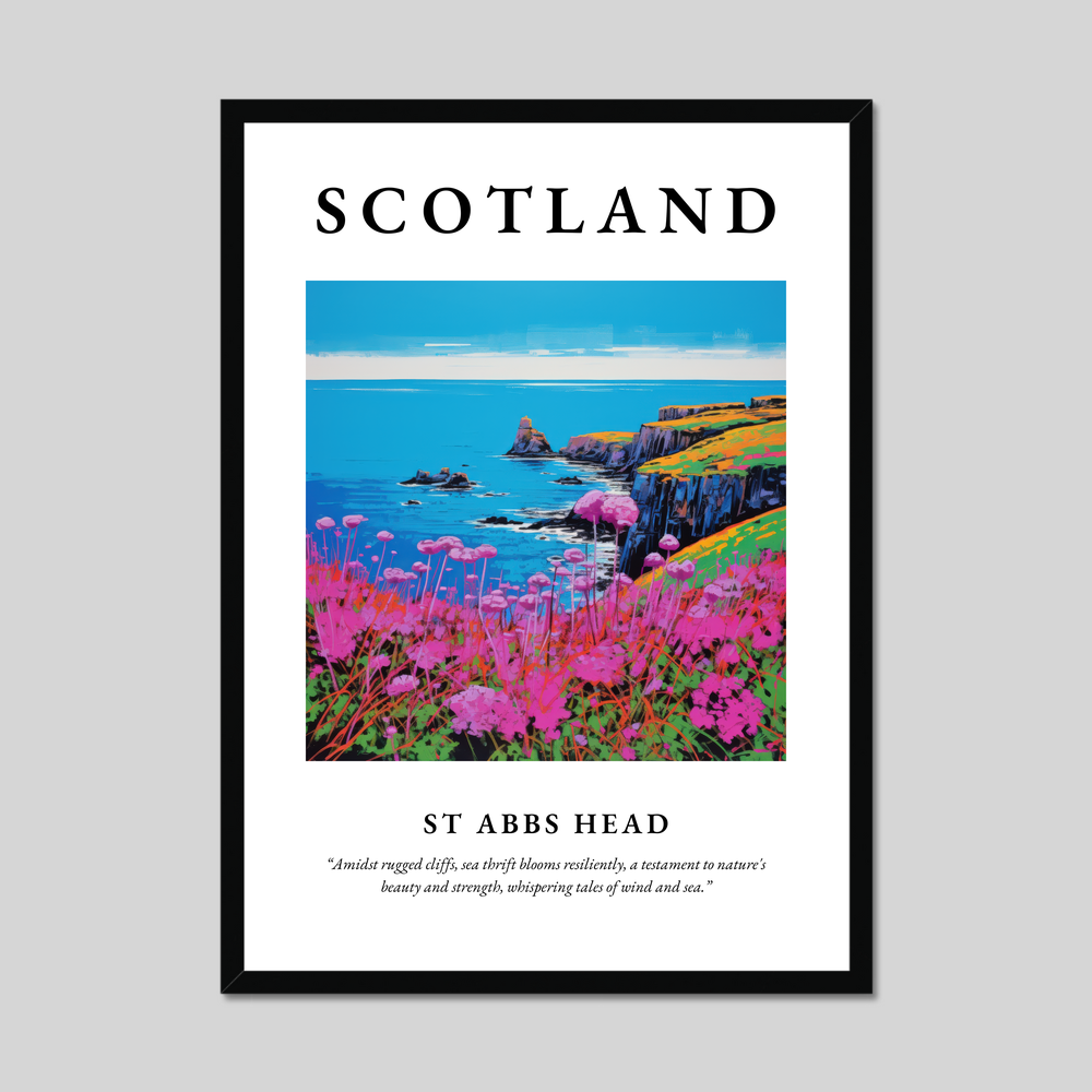 Poster of St Abbs Head, Scotland.