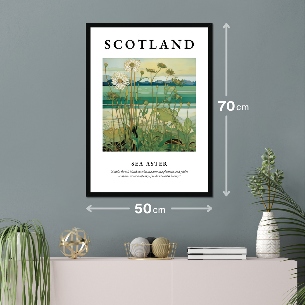 Poster of Sea aster hanging on a wall