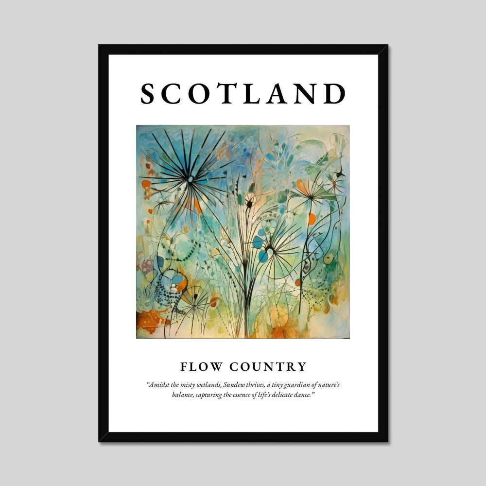 Poster of Flow Country, Scotland.