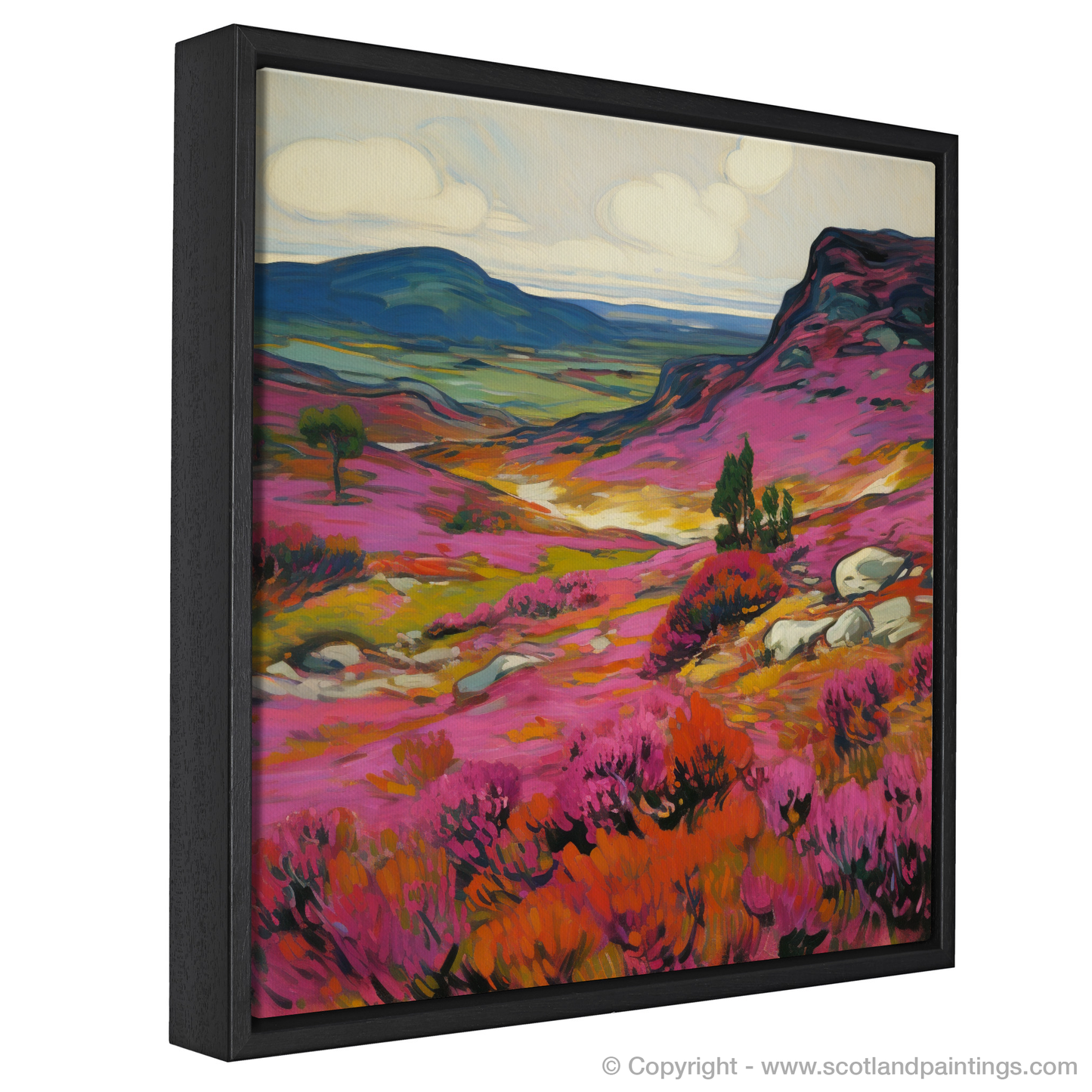 Vibrant Cairngorms: A Fauvist Ode to Bell Heather