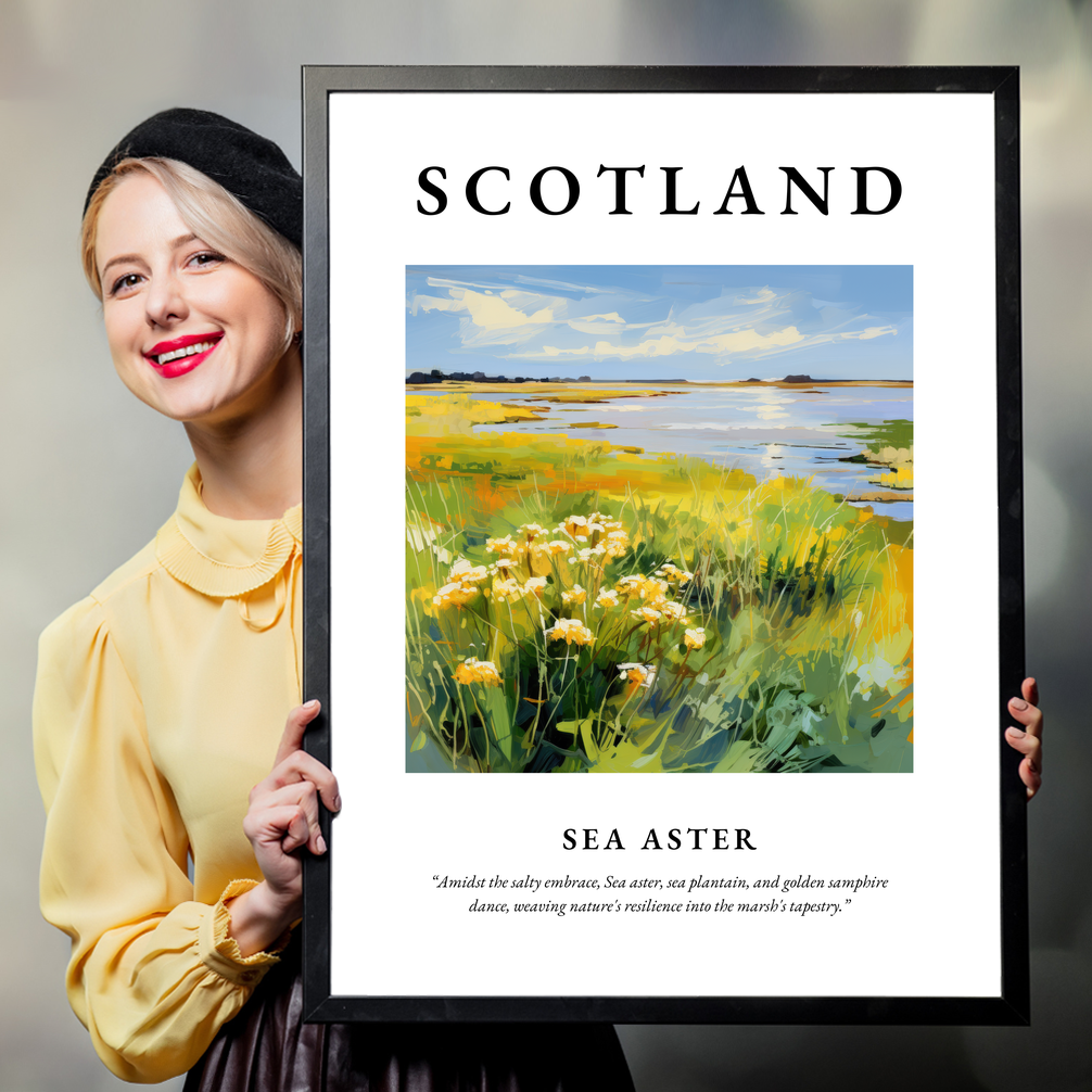 Person holding a poster of Sea aster