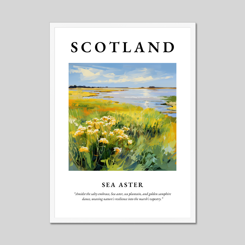 Poster in a white frame with the word Scotland