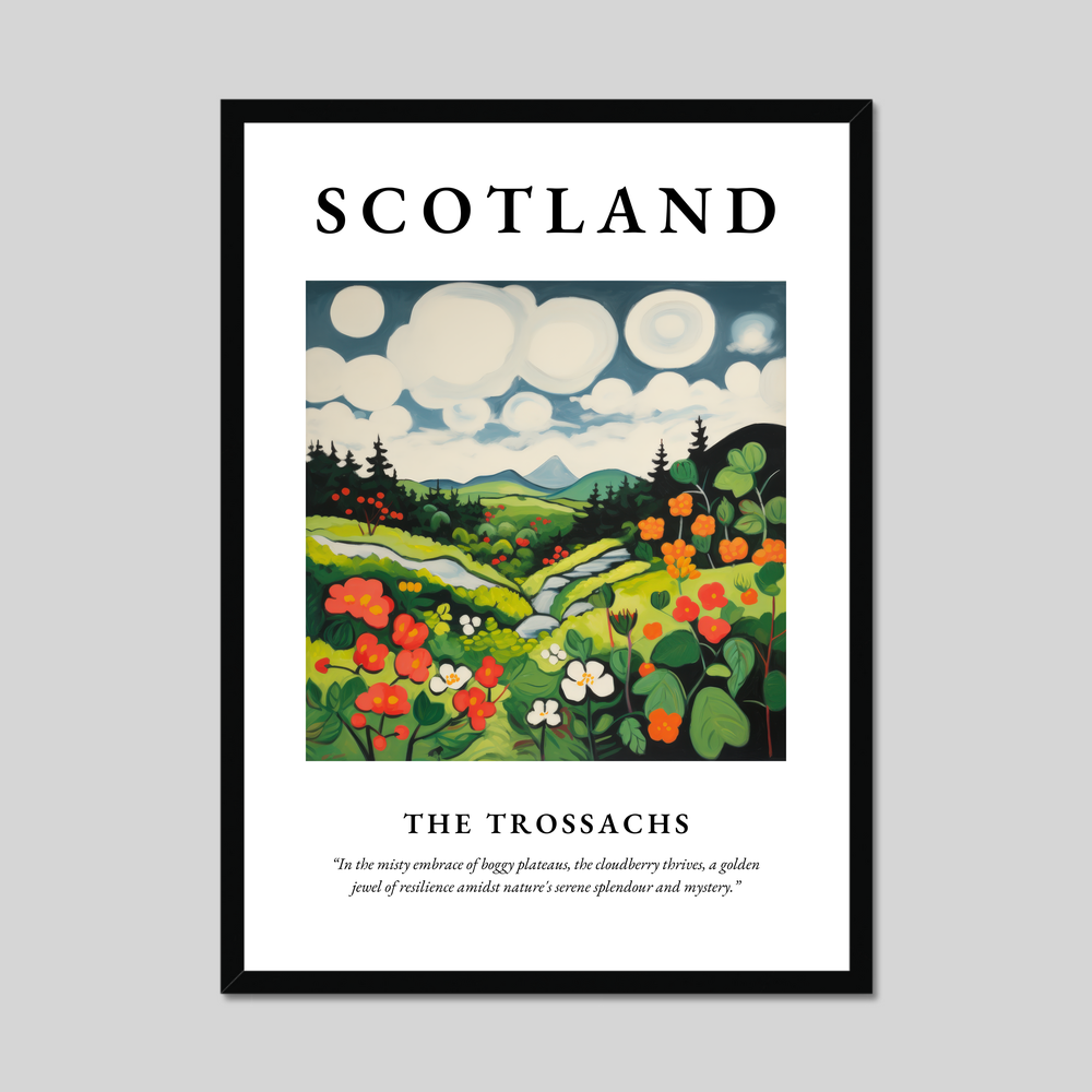 Poster of The Trossachs, Scotland.