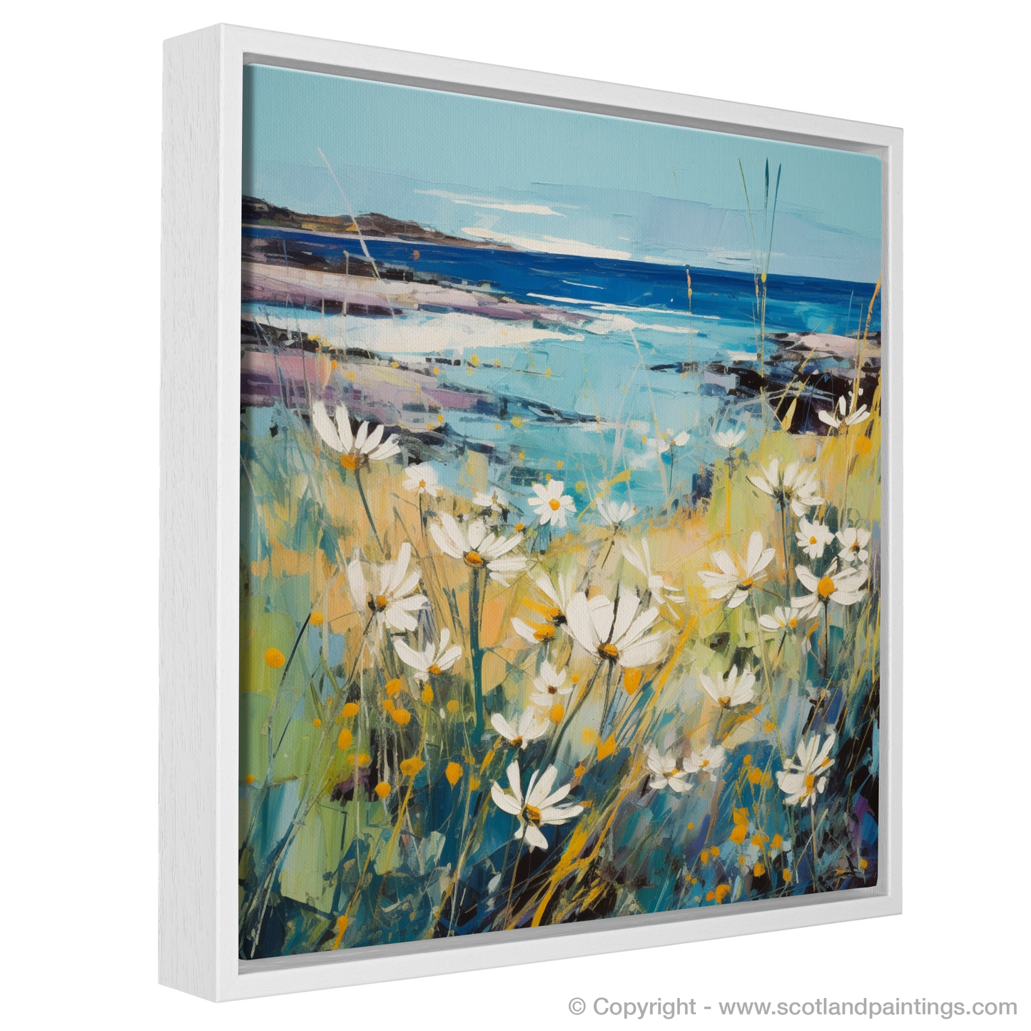 Wild Whispers of Machrihanish Sea Mayweed