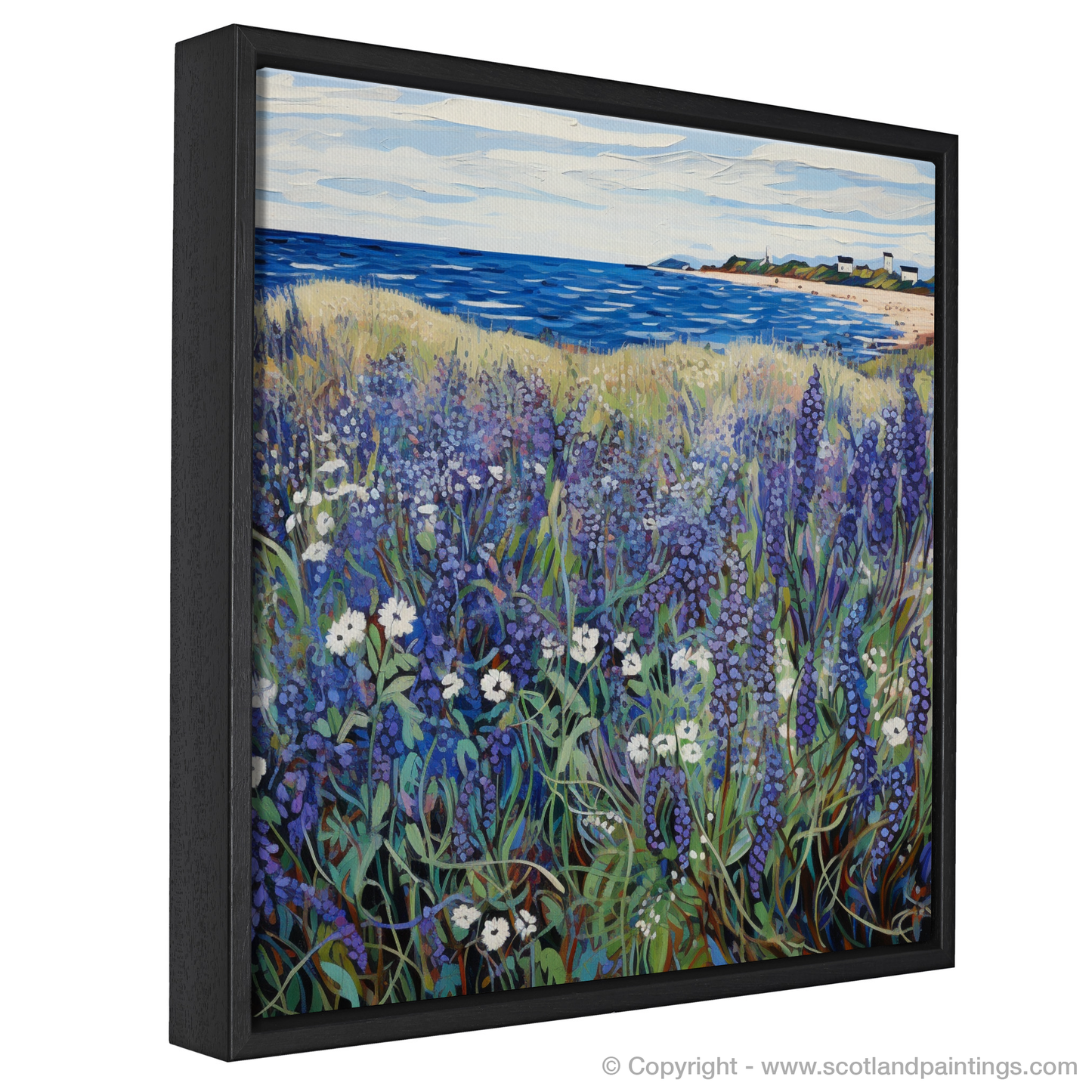 Wild Vibrance of Viper's Bugloss: An Abstract Tapestry of East Lothian's Coast