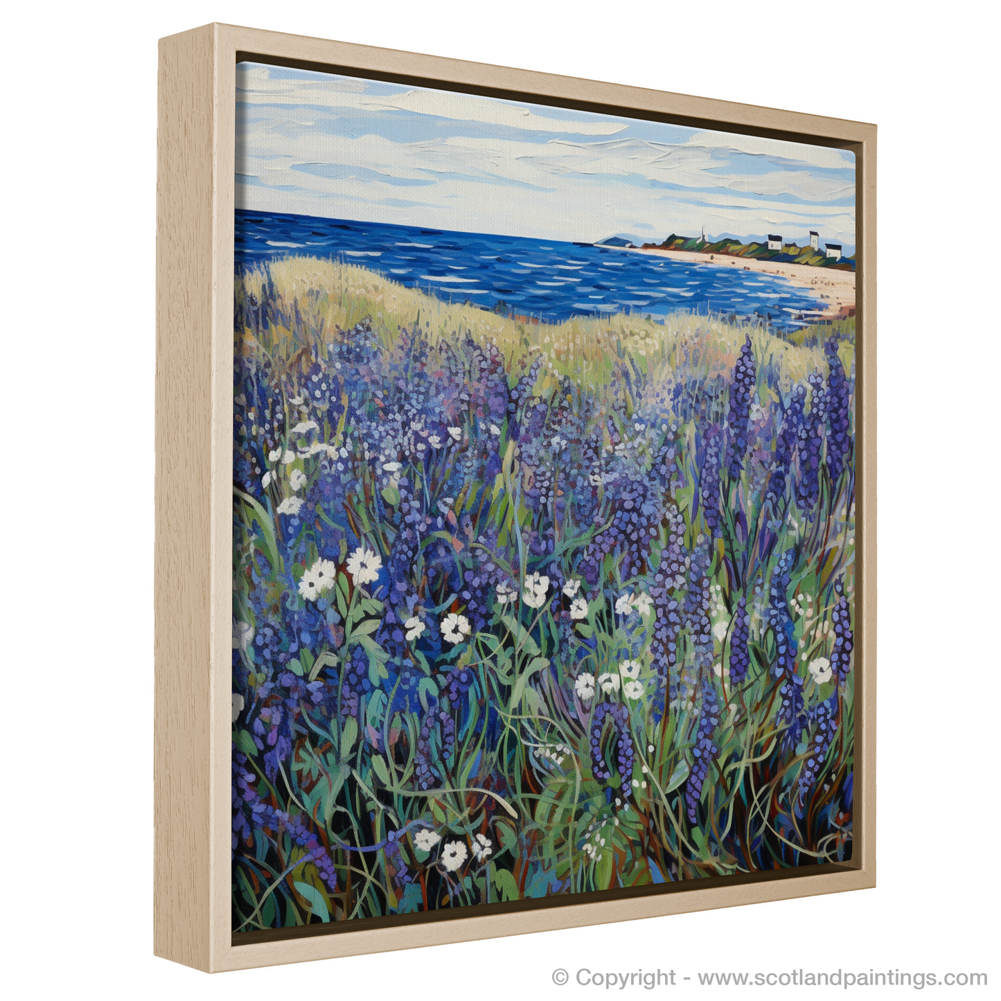 Wild Vibrance of Viper's Bugloss: An Abstract Tapestry of East Lothian's Coast