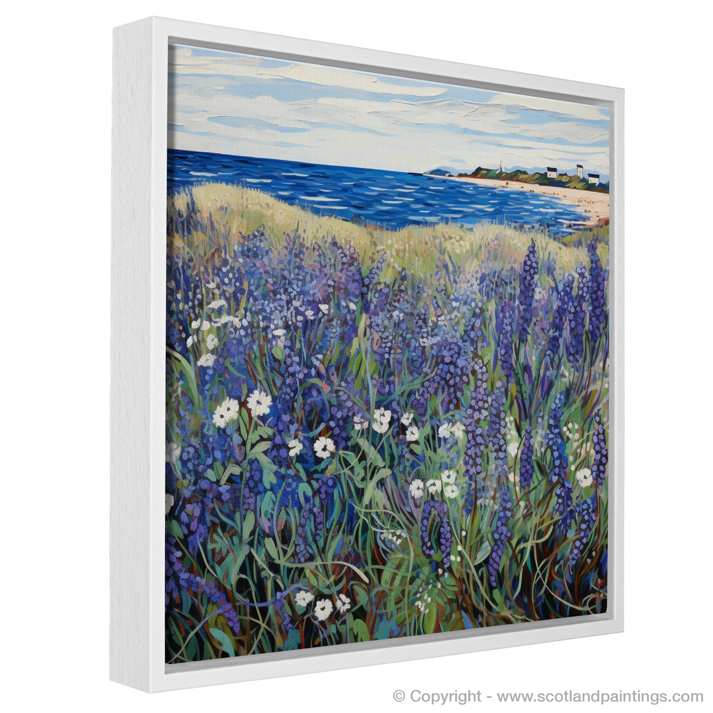 Wild Vibrance of Viper's Bugloss: An Abstract Tapestry of East Lothian's Coast