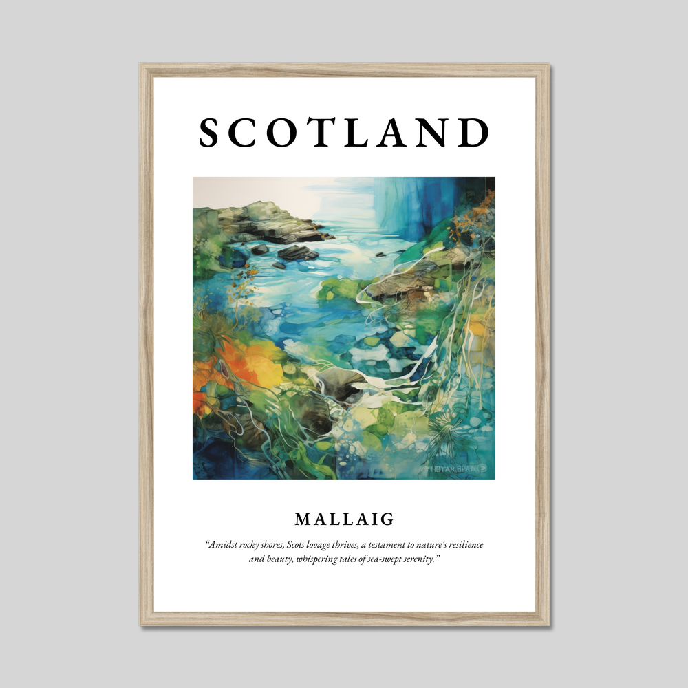 Poster in a natural frame with the word Scotland