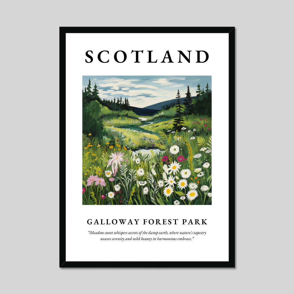 Poster of Galloway Forest Park, Scotland.