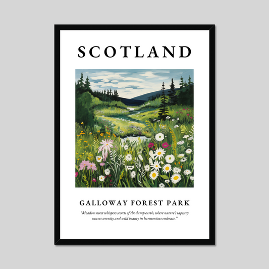 Poster of Galloway Forest Park, Scotland.