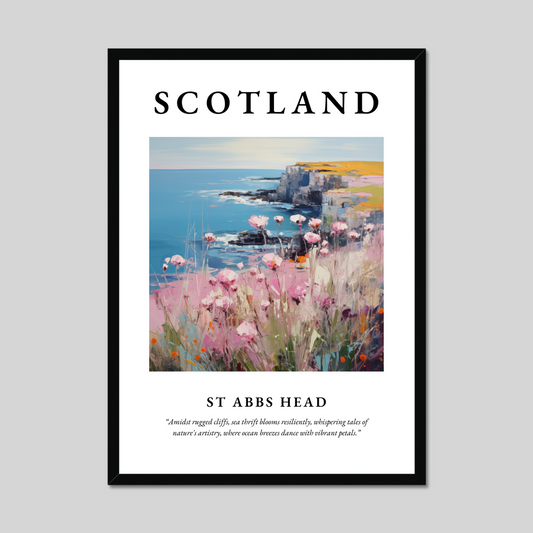 Poster of St Abbs Head, Scotland.