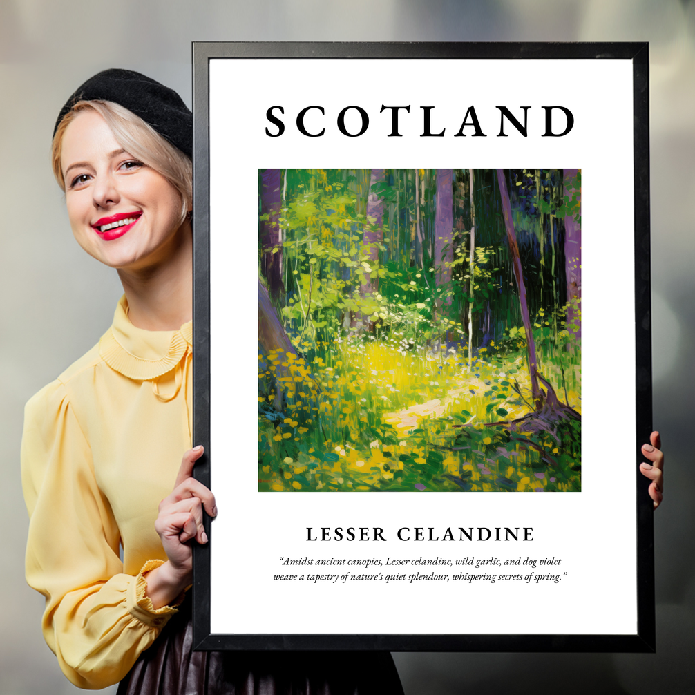 Person holding a poster of Lesser celandine