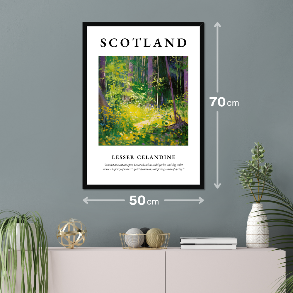 Poster of Lesser celandine hanging on a wall