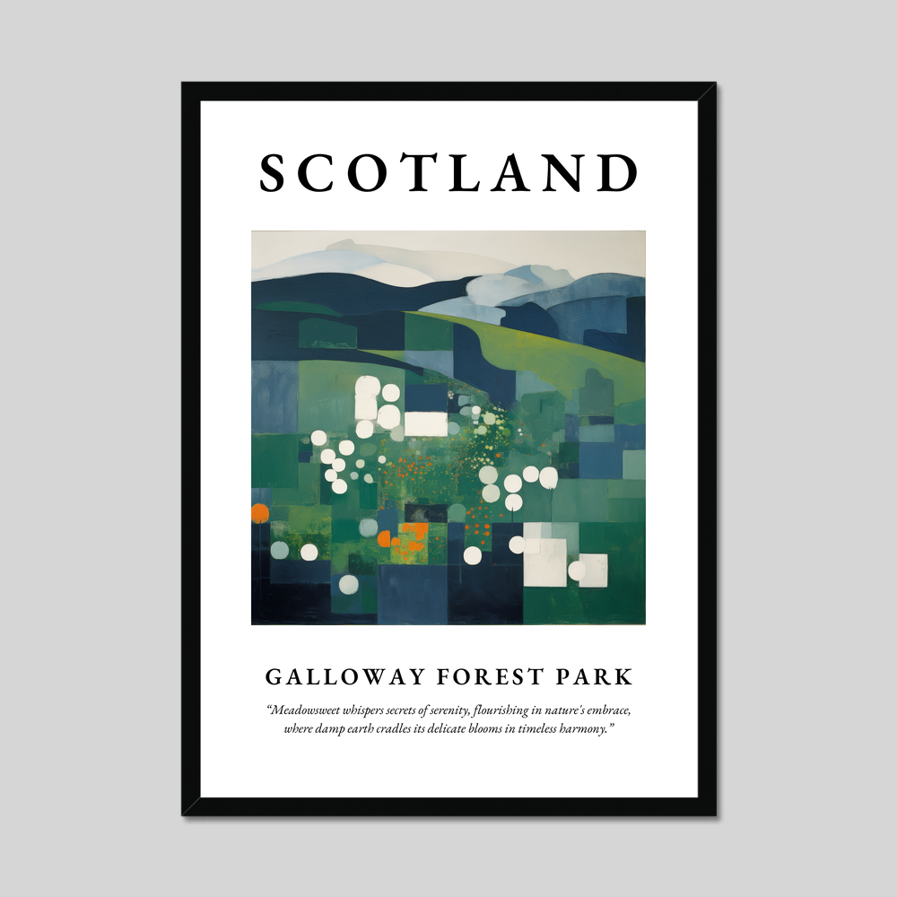 Poster of Galloway Forest Park, Scotland.