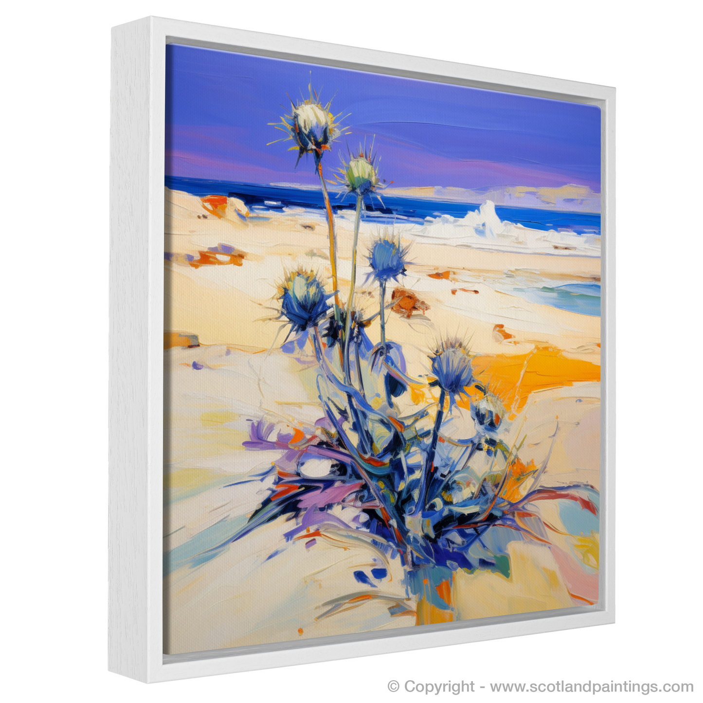 Tiree Sands: An Abstract Ode to Sea Holly