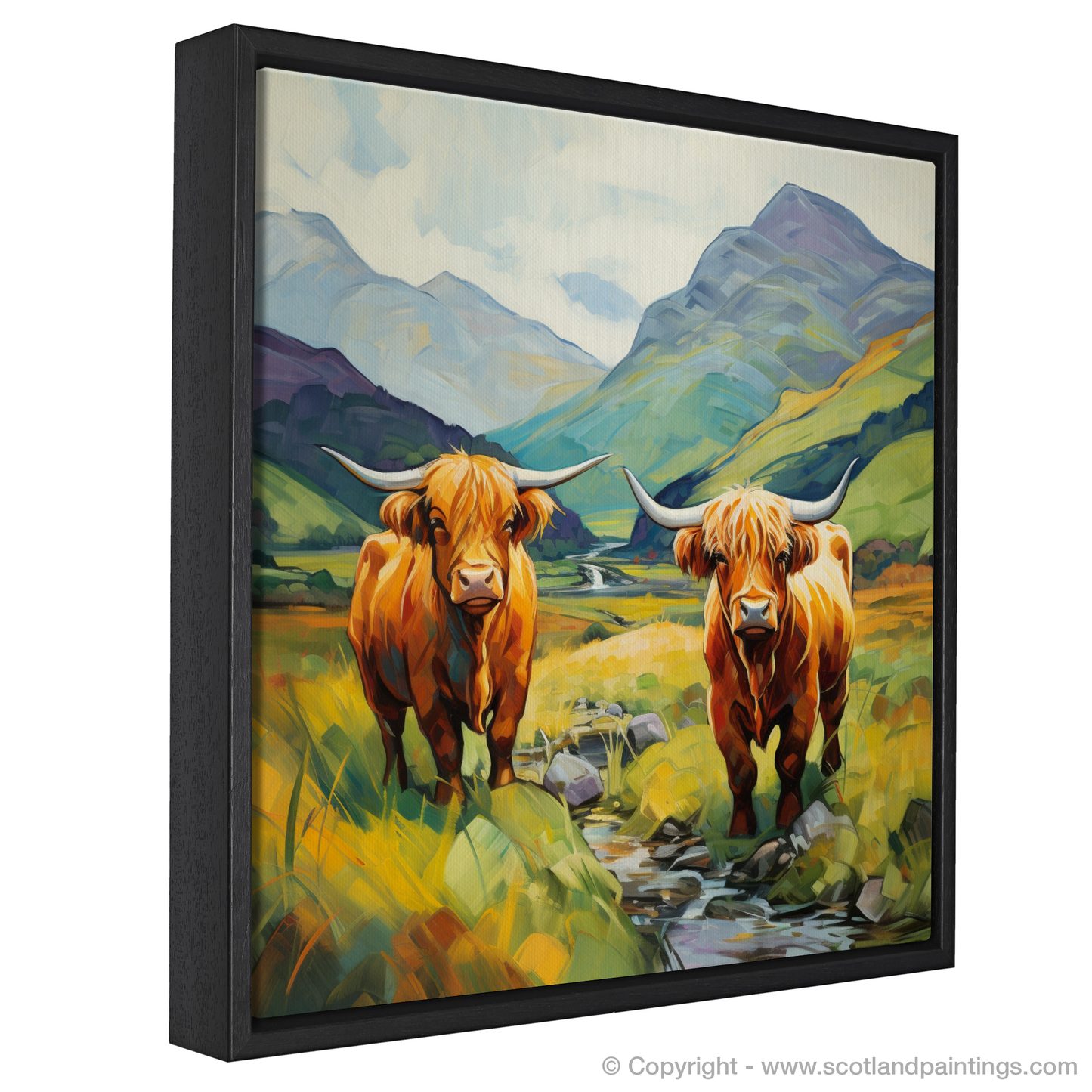 Cubist Cattle of Glencoe Highlands