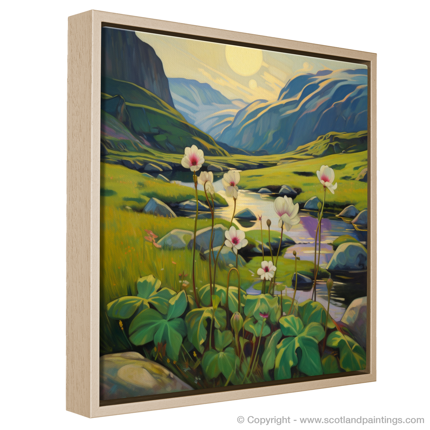 Cubist Dawn in Glencoe: A Wood Sorrel Symphony